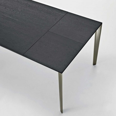 Molteni&C - Table Extensible Filigree